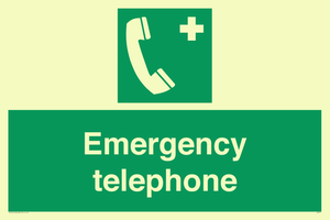 SV411: emergency telephone