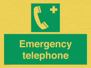 SV411: emergency telephone