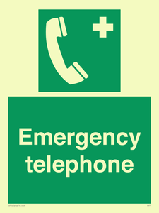SV411: emergency telephone