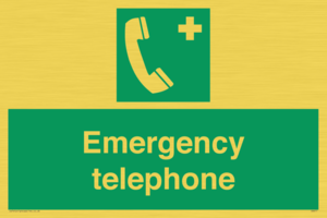 SV411: emergency telephone