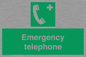 SV411: emergency telephone