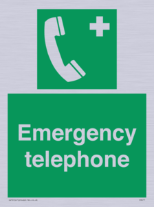 SV411: emergency telephone