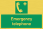 SV411: emergency telephone