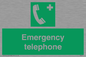 SV411: emergency telephone