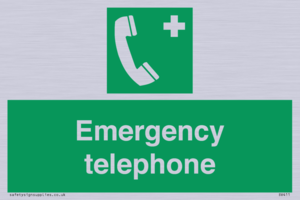 SV411: emergency telephone
