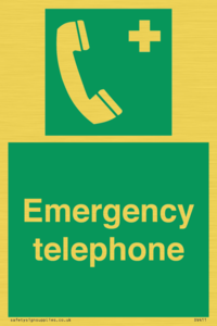 SV411: emergency telephone