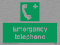 SV411: emergency telephone