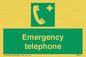 SV411: emergency telephone