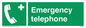 SV411: emergency telephone