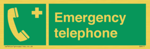 SV411: emergency telephone