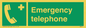 SV411: emergency telephone