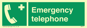 SV411: emergency telephone