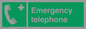 SV411: emergency telephone