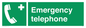 SV411: emergency telephone