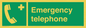 SV411: emergency telephone