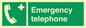 SV411: emergency telephone