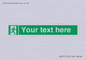 SV5217: Custom Safe condition: Emergency exit (right hand)