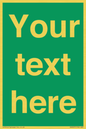 SV6007: Custom Safe Condition: Blank (green) sign