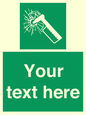 SV7209: Custom sign safe condition emergency hammer