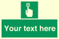 SV7308: Custom Safe Condition Emergency call point