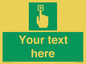 SV7308: Custom Safe Condition Emergency call point