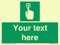 SV7308: Custom Safe Condition Emergency call point