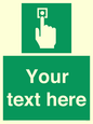 SV7308: Custom Safe Condition Emergency call point