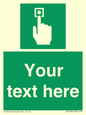SV7308: Custom Safe Condition Emergency call point
