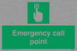SV7321: Emergency call point