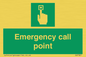 SV7321: Emergency call point