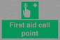 SV7322: First aid call point