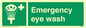 SX464: emergency eye wash