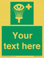 SX5226: Custom Eye Wash Station Sign