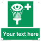 SX5226: Custom Eye Wash Station Sign