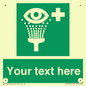 SX5226: Custom Eye Wash Station Sign