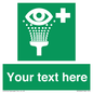 SX5226: Custom Eye Wash Station Sign