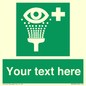 SX5226: Custom Eye Wash Station Sign