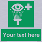 SX5226: Custom Eye Wash Station Sign