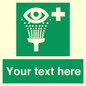 SX5226: Custom Eye Wash Station Sign