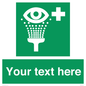 SX5226: Custom Eye Wash Station Sign