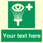 SX5226: Custom Eye Wash Station Sign