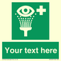 SX5226: Custom Eye Wash Station Sign