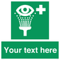 SX5226: Custom Eye Wash Station Sign