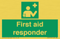 SX7319: First aid responder
