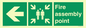 SY14218: Fire Assembly Point left