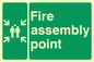 SY473: fire assembly point
