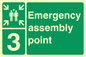 SY5778: Emergency Assembly Point 3 - Replaces SY476(3)