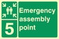 SY5780: Emergency Assembly Point 5 - Replaces SY476(5)