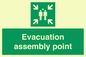 SY7236: Evacuation assembly point
