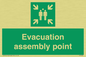 SY7236: Evacuation assembly point